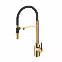 Смеситель для кухни Paulmark Magneto One Ma213188-LG светлое брашированное золото
