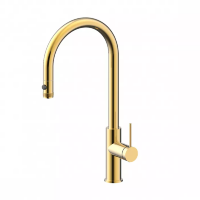 Смеситель для кухни Paulmark Galant Ga213077-LG светлое золото