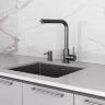 Смеситель с подключением к фильтру для воды Paulmark TWIN Tw213622-GM
