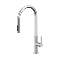 Смеситель для кухни Paulmark Senso Se215180-BS брашированная сталь